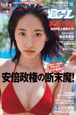 宁安如梦 电视剧